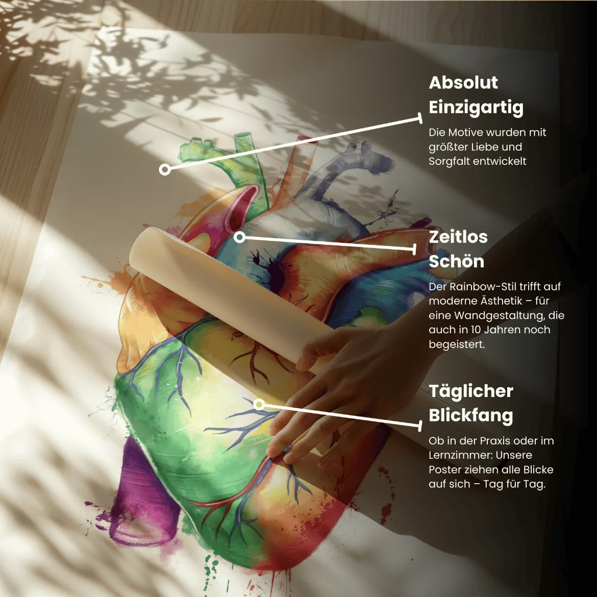 Hart Anatomie - Regenboog