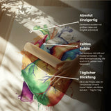 Hart Anatomie - Regenboog