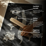 Anatomie van de Rug Collectie - Schoolbord