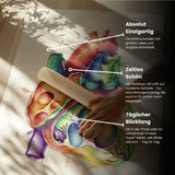 Hart in doorsnede Anatomie - Regenboog
