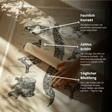 Anatomie van de Rug Collectie