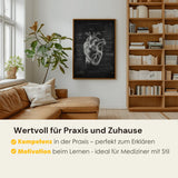 Hart Anatomie - Schoolbord