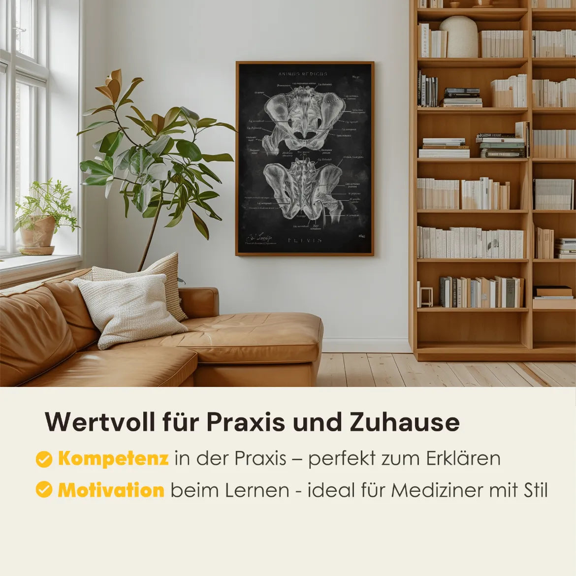 Heupgewricht Anatomie - Chalkboard