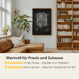 De buik in doorsnede - Chalkboard
