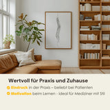 Wervelkolom Anatomie Minimalistisch