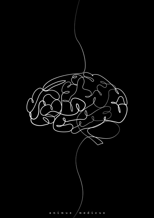 Gehirn Anatomie Minimalist Dark