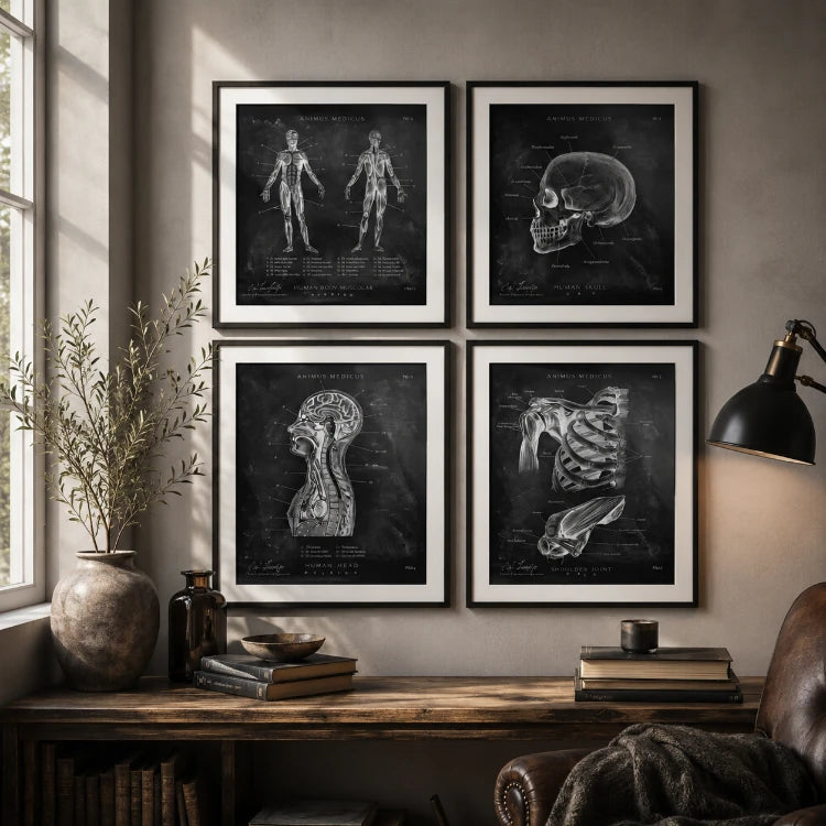 Chalkboard Anatomie Poster