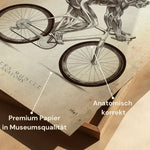 Rennrad Fahrer Anatomie - Animus Medicus