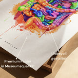 Buik Anatomie - Rainbow
