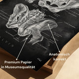 Heupgewricht Anatomie - Chalkboard