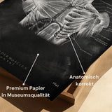 Schouder Spieren - Chalkboard