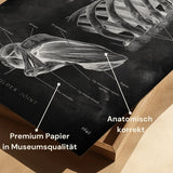 Schoudergewricht Anatomie - Chalkboard