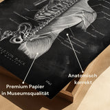 Ruganatomie | Botten en Spieren - Chalkboard
