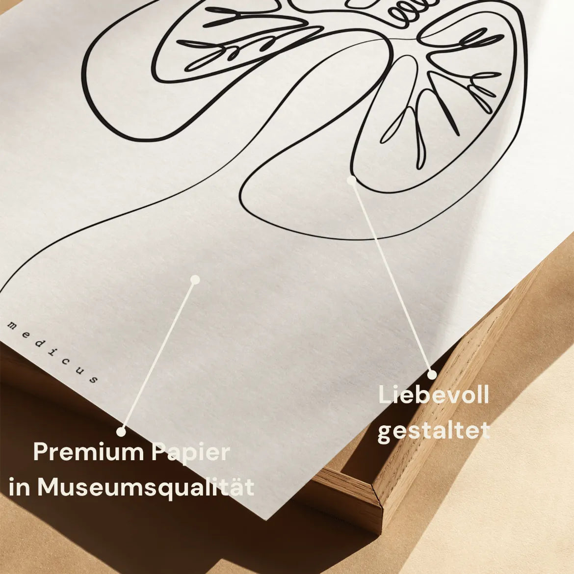 Longanatomie Minimalistisch