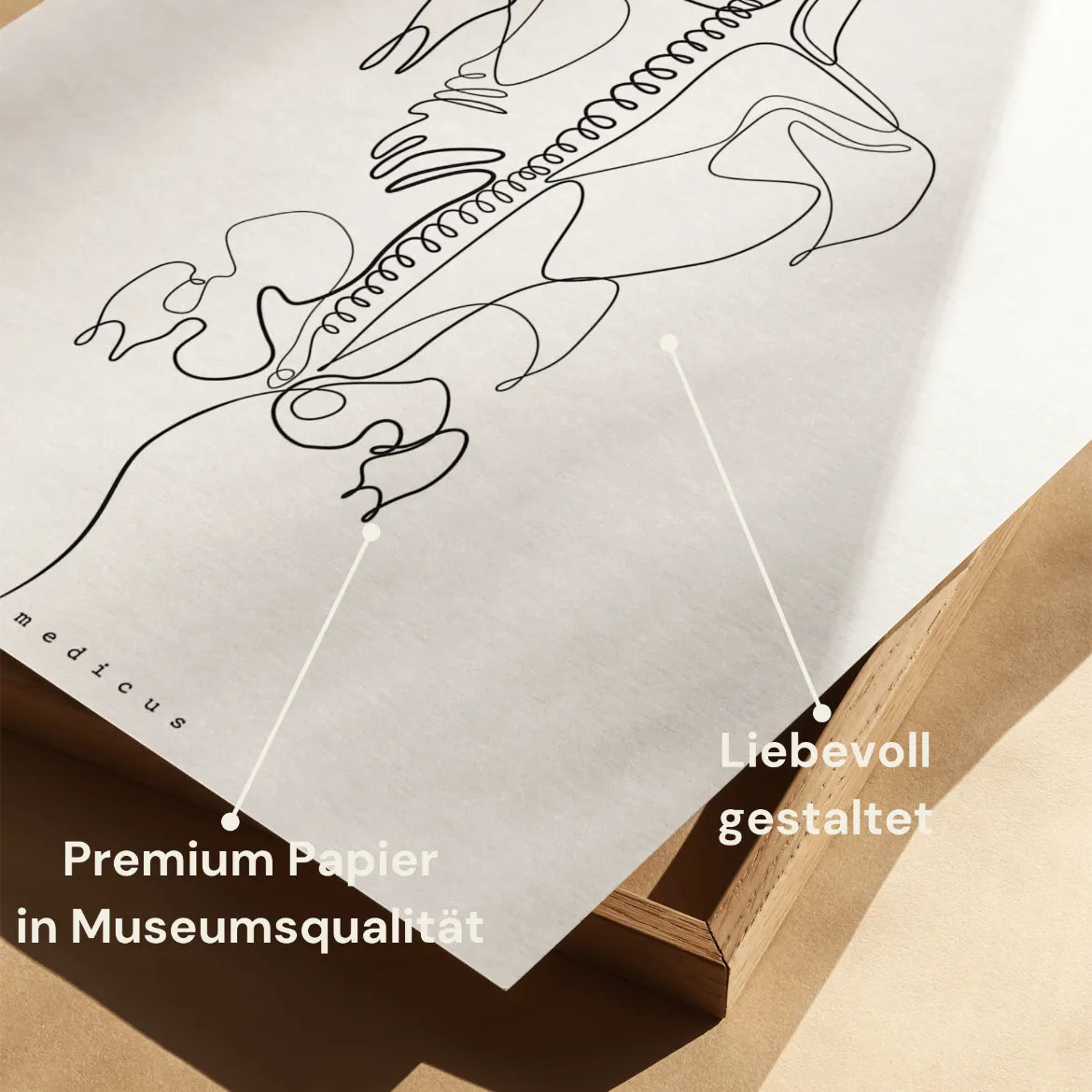 Rug Anatomie Minimalistisch