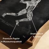 Tennis Anatomie Poster - Schoolbord