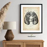 Anatomie van de longen