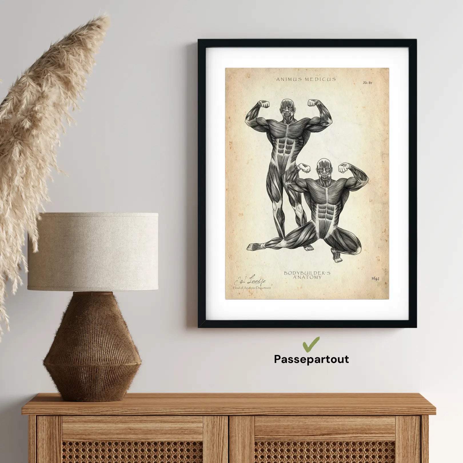 Bodybuilder anatomie poster