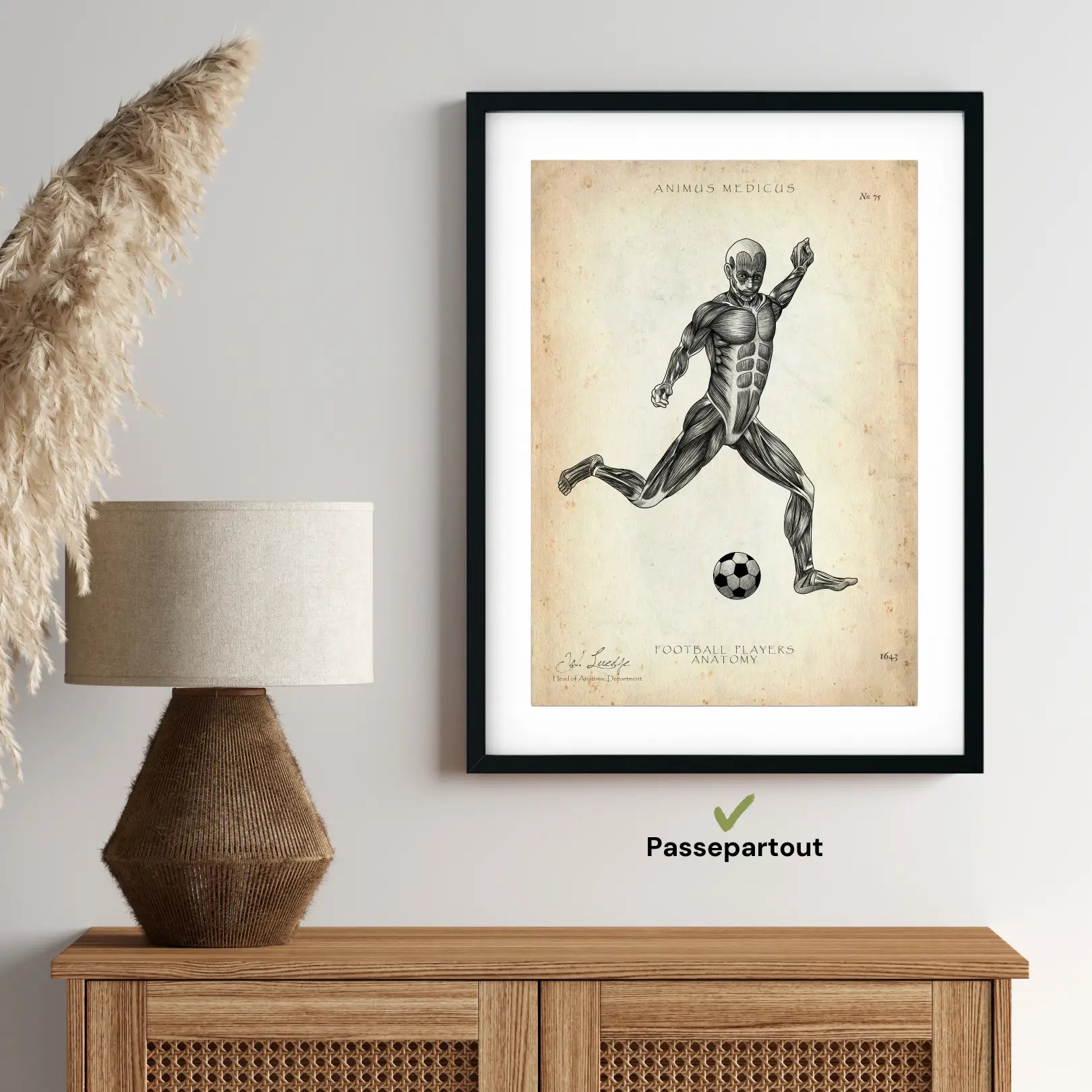 Voetbal anatomie Poster