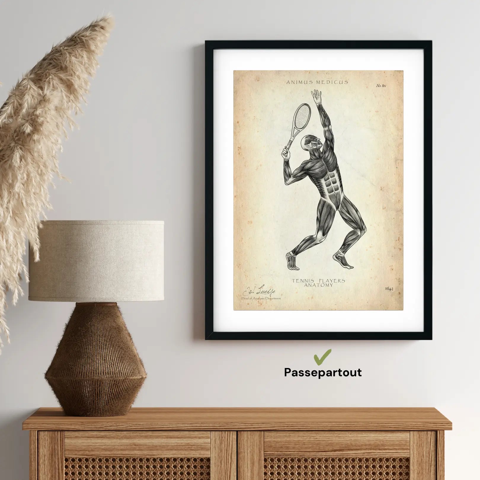 Tennis anatomie poster