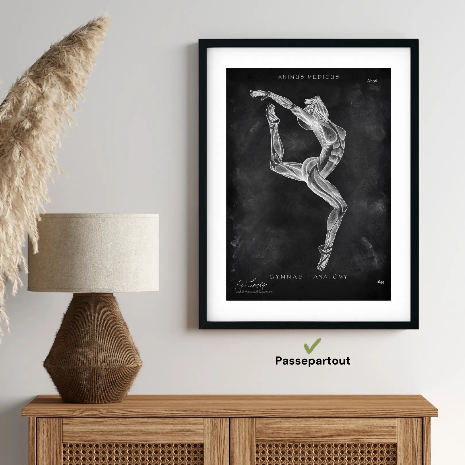 Gymnastiek anatomie Poster II - schoolbord