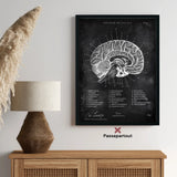 Hersenen in sagittale doorsnede - schoolbord