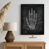 Hand botten anatomie - schoolbord