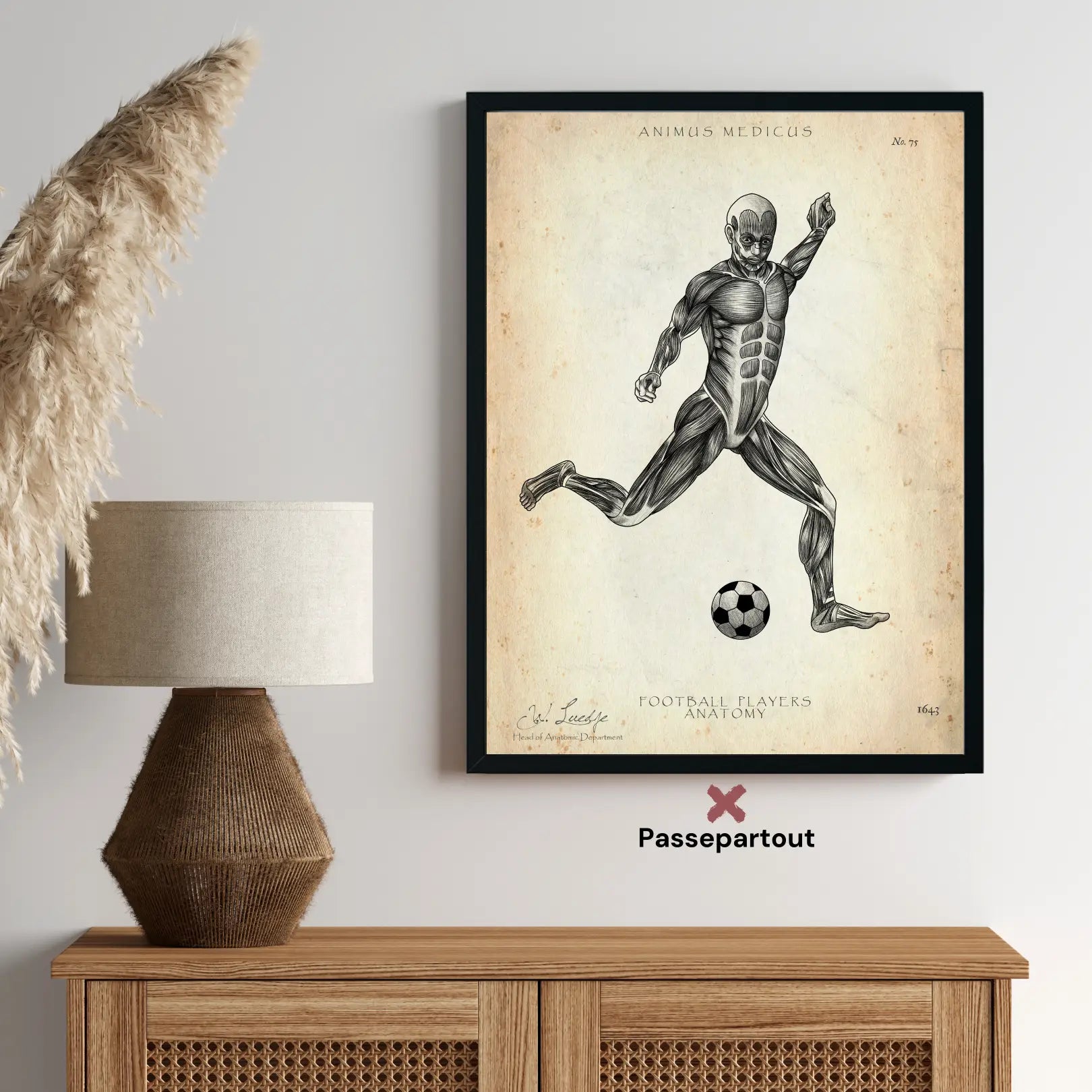 Voetbal anatomie Poster