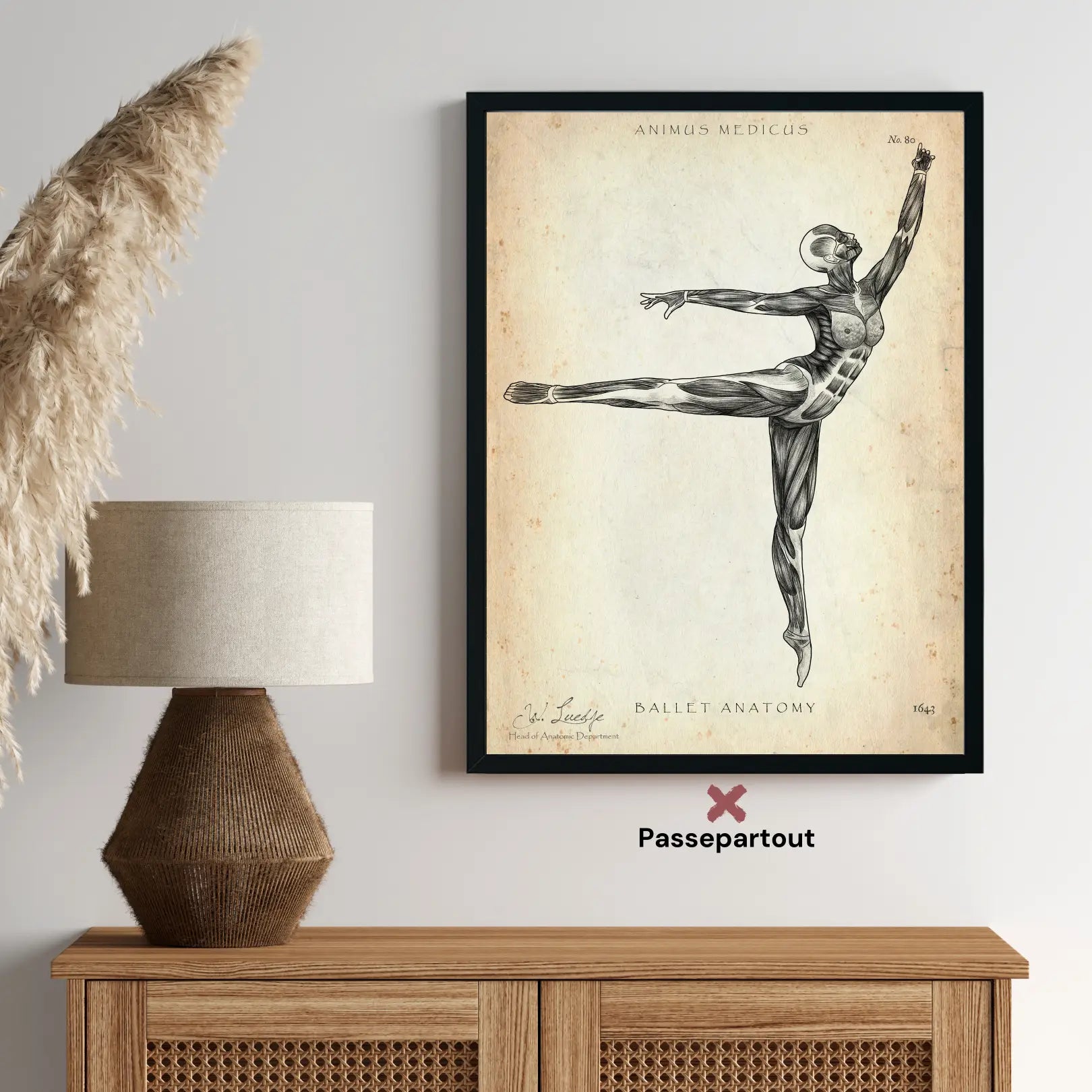 Ballet anatomie poster