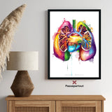 Anatomie van de longen - Regenboog