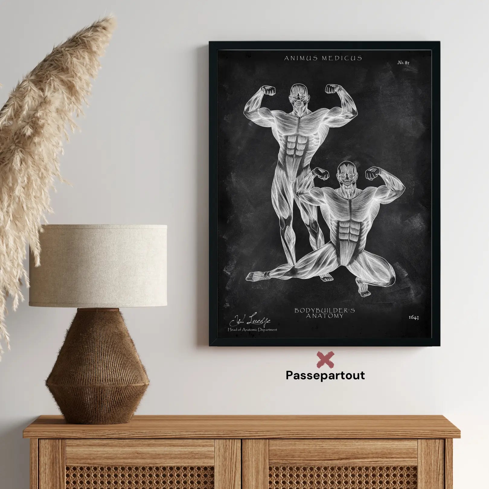 Bodybuilder anatomie Poster - schoolbord