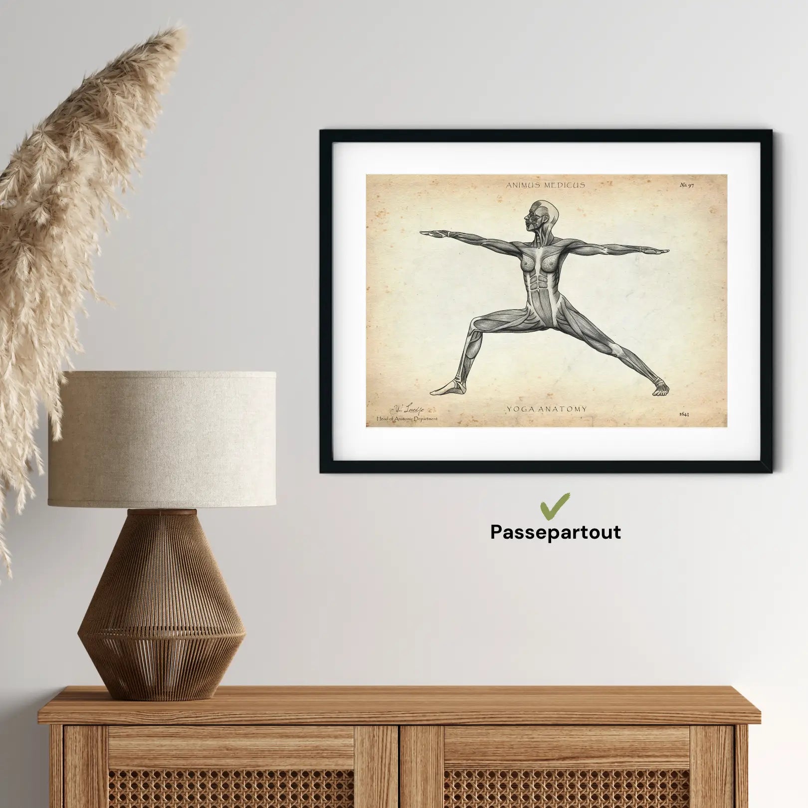 Yoga anatomie poster