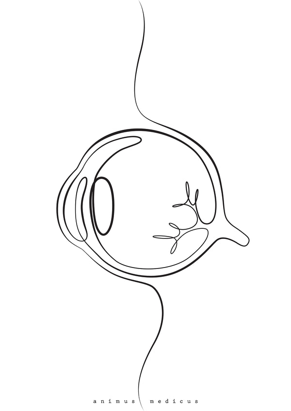 Augen Anatomie Minimalist