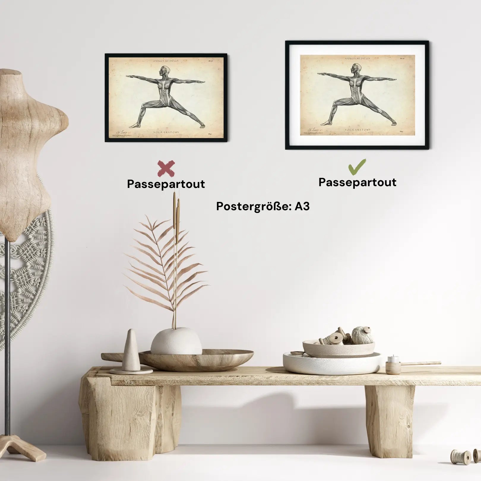 Yoga anatomie poster