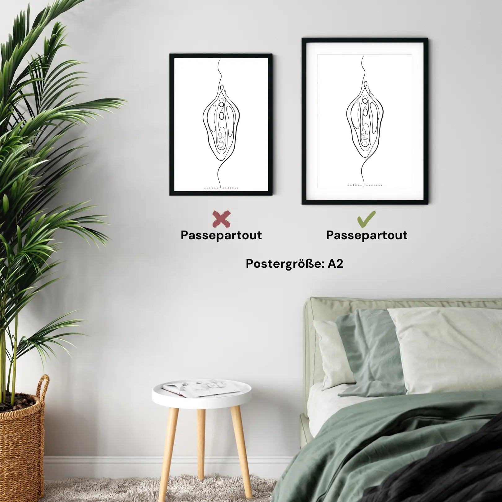 Vulva anatomie minimalistisch