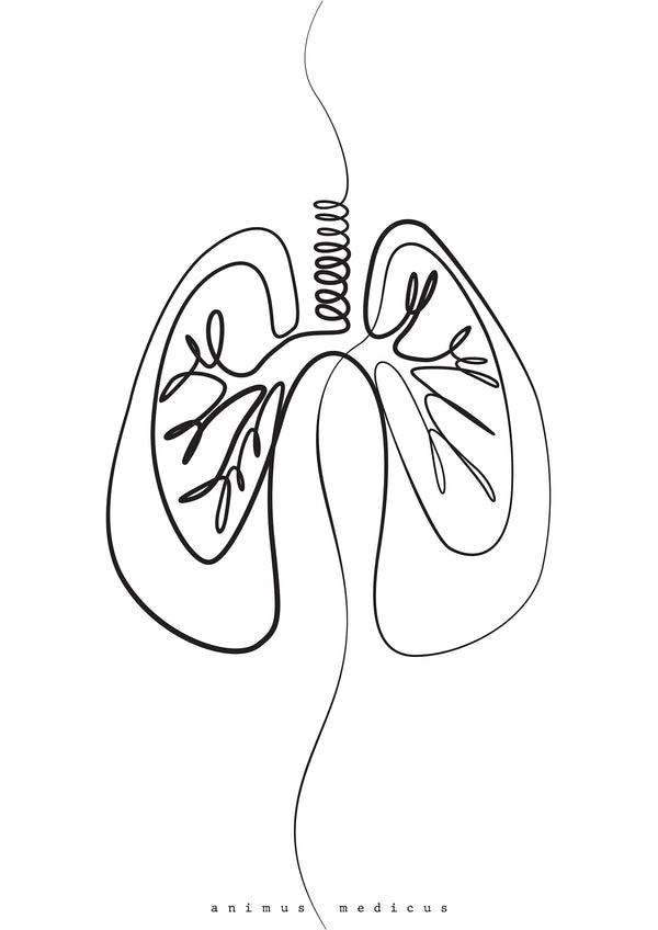Lungen Anatomie Minimalist