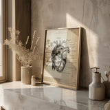 Anatomie van het hart
