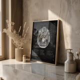Schedelbasis Anatomie - Chalkboard