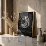 Het menselijk brein - Chalkboard