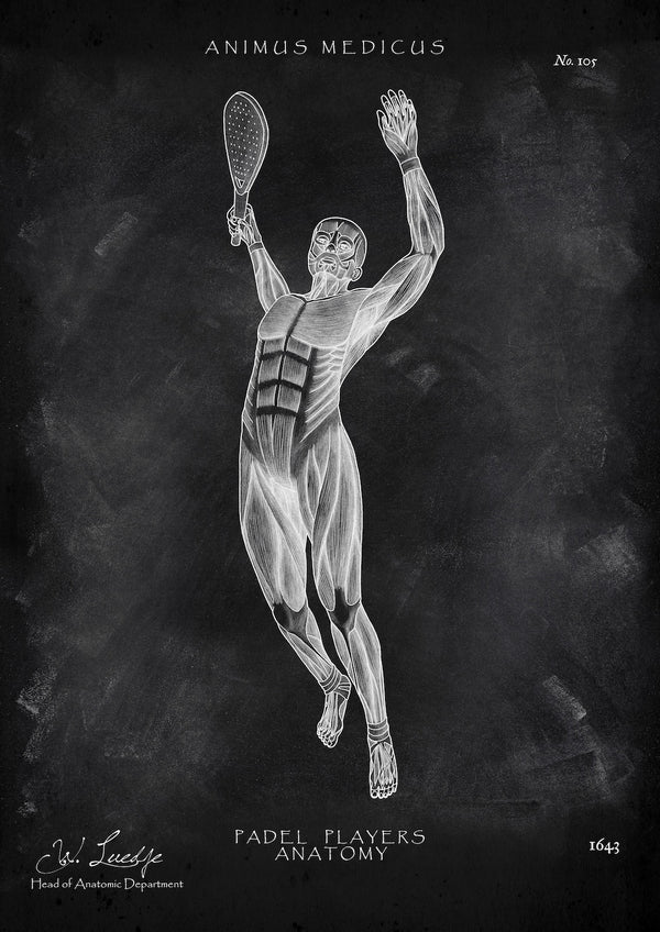Padel Tennis Anatomie - Chalkboard
