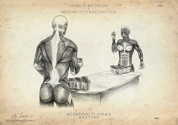 Beerpong Anatomie