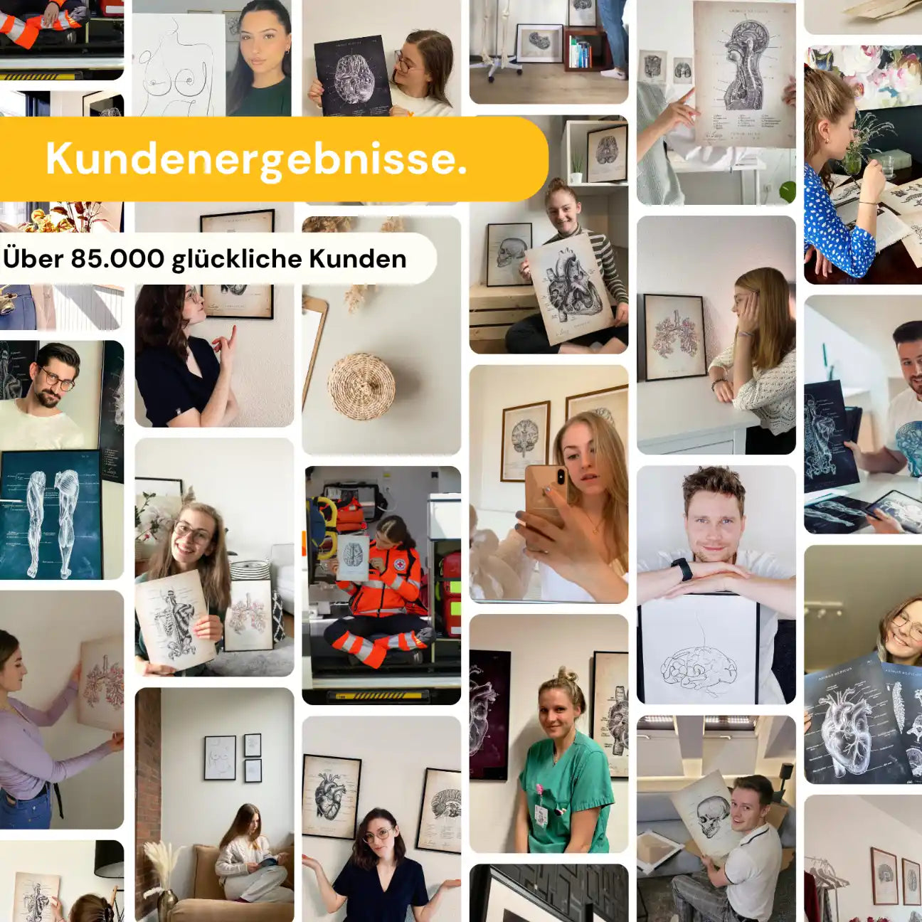 Die 12 Hirnnerven - Animus Medicus GmbH