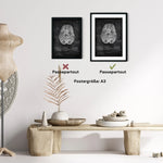 Die 12 Hirnnerven - Chalkboard - Animus Medicus GmbH