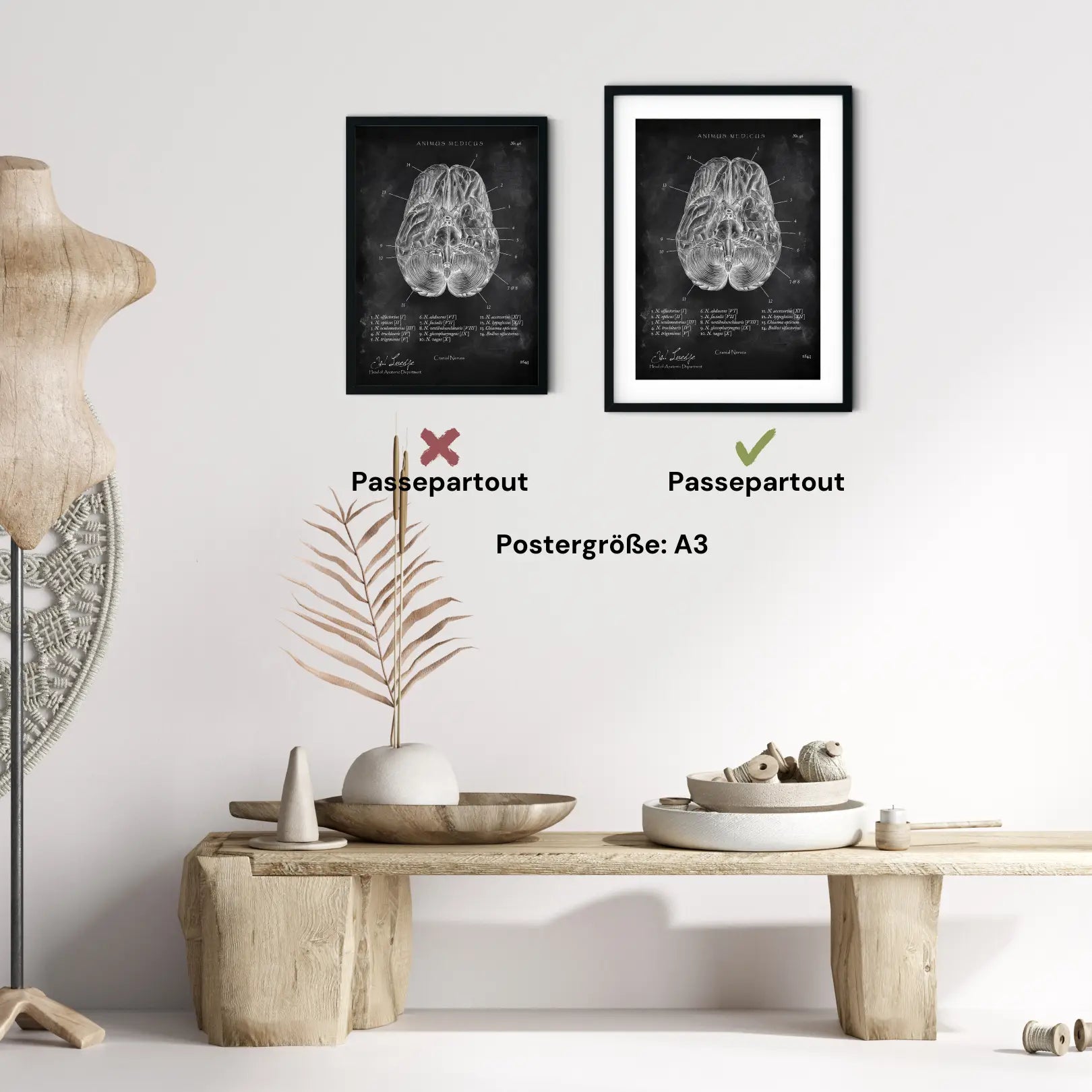 Die 12 Hirnnerven - Chalkboard - Animus Medicus GmbH