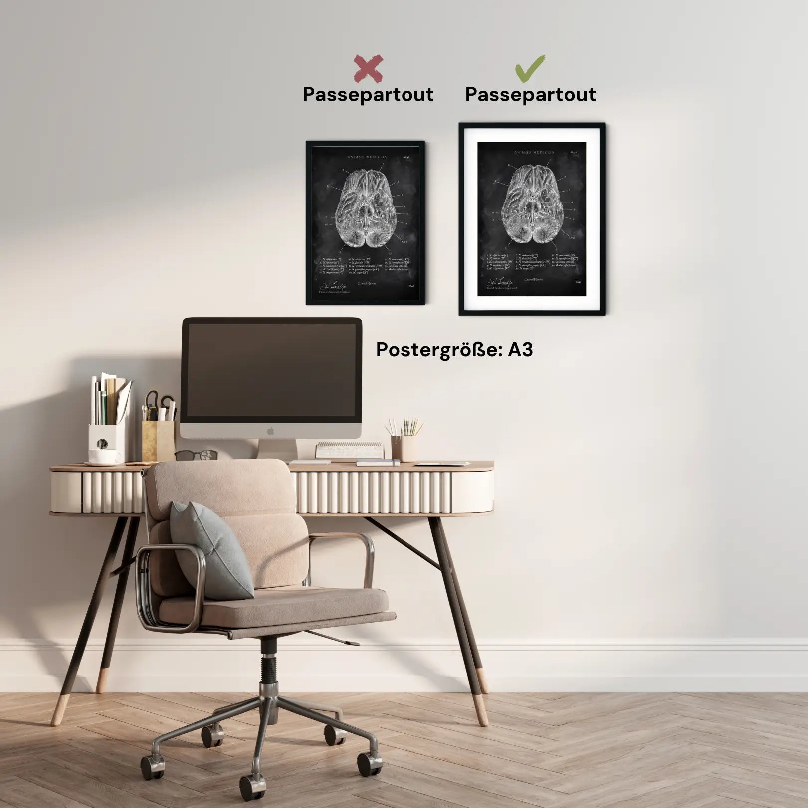 Die 12 Hirnnerven - Chalkboard - Animus Medicus GmbH