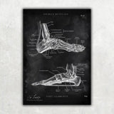 Fuß Anatomie Sammlung - Chalkboard - Animus Medicus GmbH