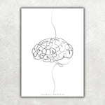 Gehirn Anatomie Minimalist - Animus Medicus GmbH