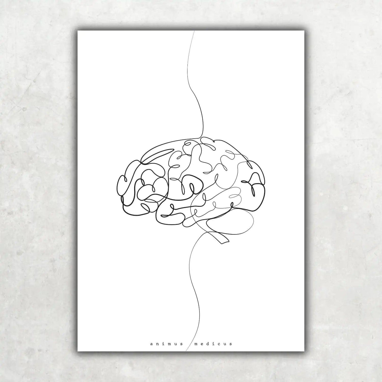 Gehirn Anatomie Minimalist - Animus Medicus GmbH