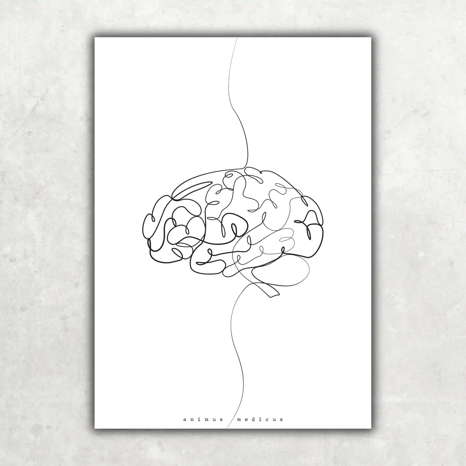 Gehirn Anatomie Minimalist - Animus Medicus GmbH