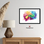 Gehirn Anatomie - Rainbow - Animus Medicus GmbH